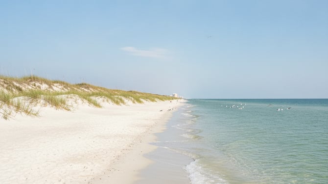Where to stay for a Shell Island day in PCB